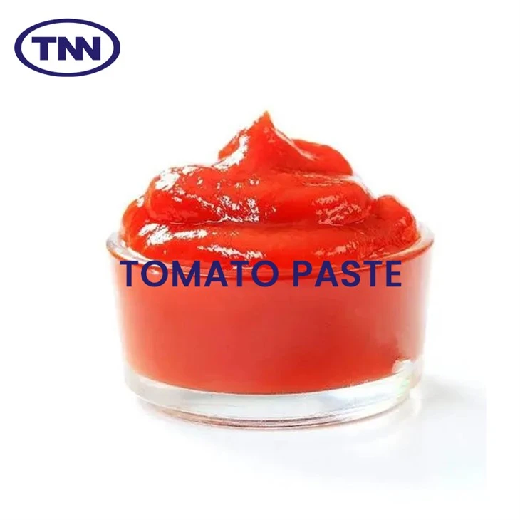 High Quality Tomato Paste